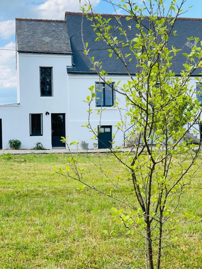 Villa La Grange Du Pigeonnier Authenticity And Gentleness 10 Minutes From Tours La Riche Exterior foto